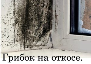 Ремонт окон в Минске,плачет окна?К чему это может привести?